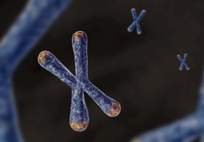 DNA پدر و مادر از بدو تولد بر روند پیری و بیماری‌ها اثر می‌گذارد