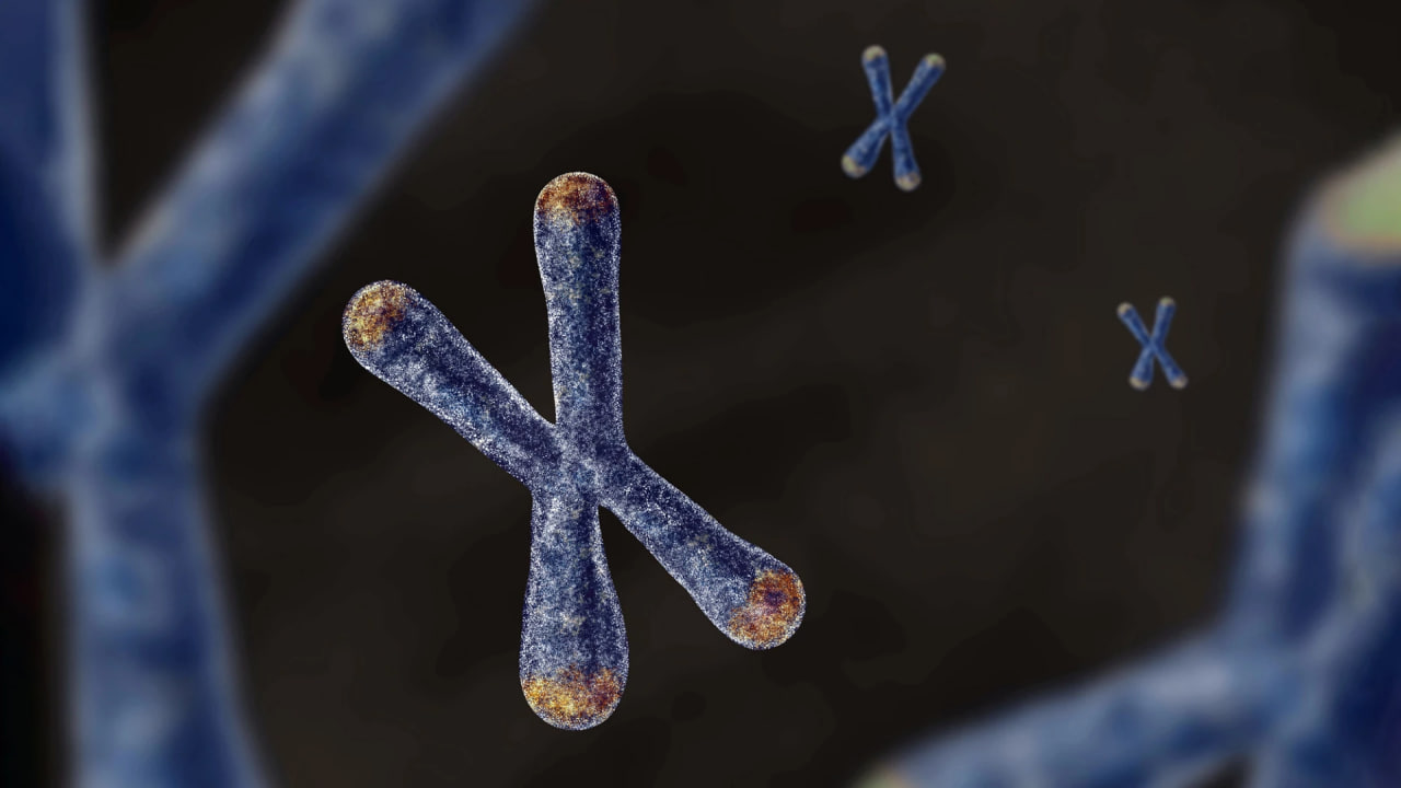DNA پدر و مادر از بدو تولد بر روند پیری و بیماری‌ها اثر می‌گذارد