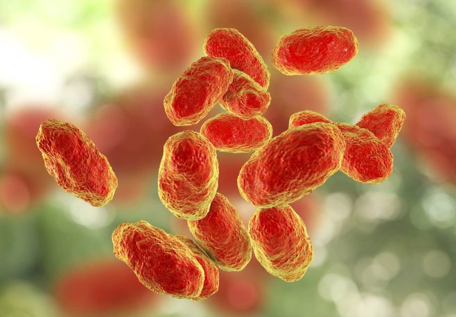 هموفیلوس آنفلوآنزا نوع B؛ قاتل خاموش کودکان که بهلطف واکسنها از یادها رفته است