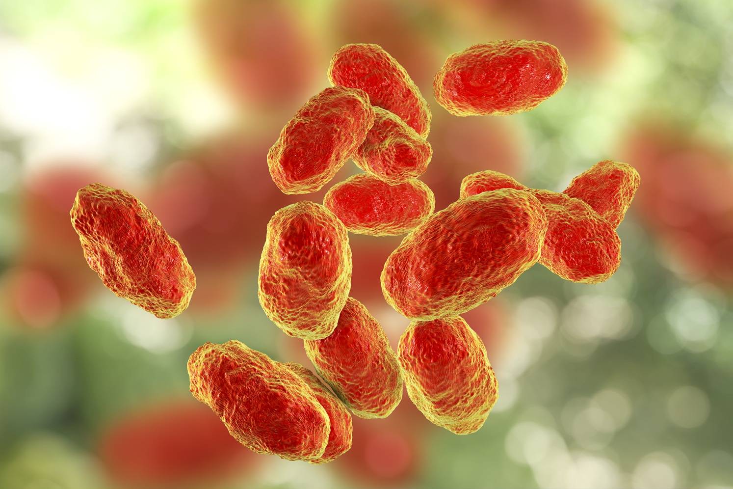 هموفیلوس آنفلوآنزا نوع B؛ قاتل خاموش کودکان که بهلطف واکسنها از یادها رفته است