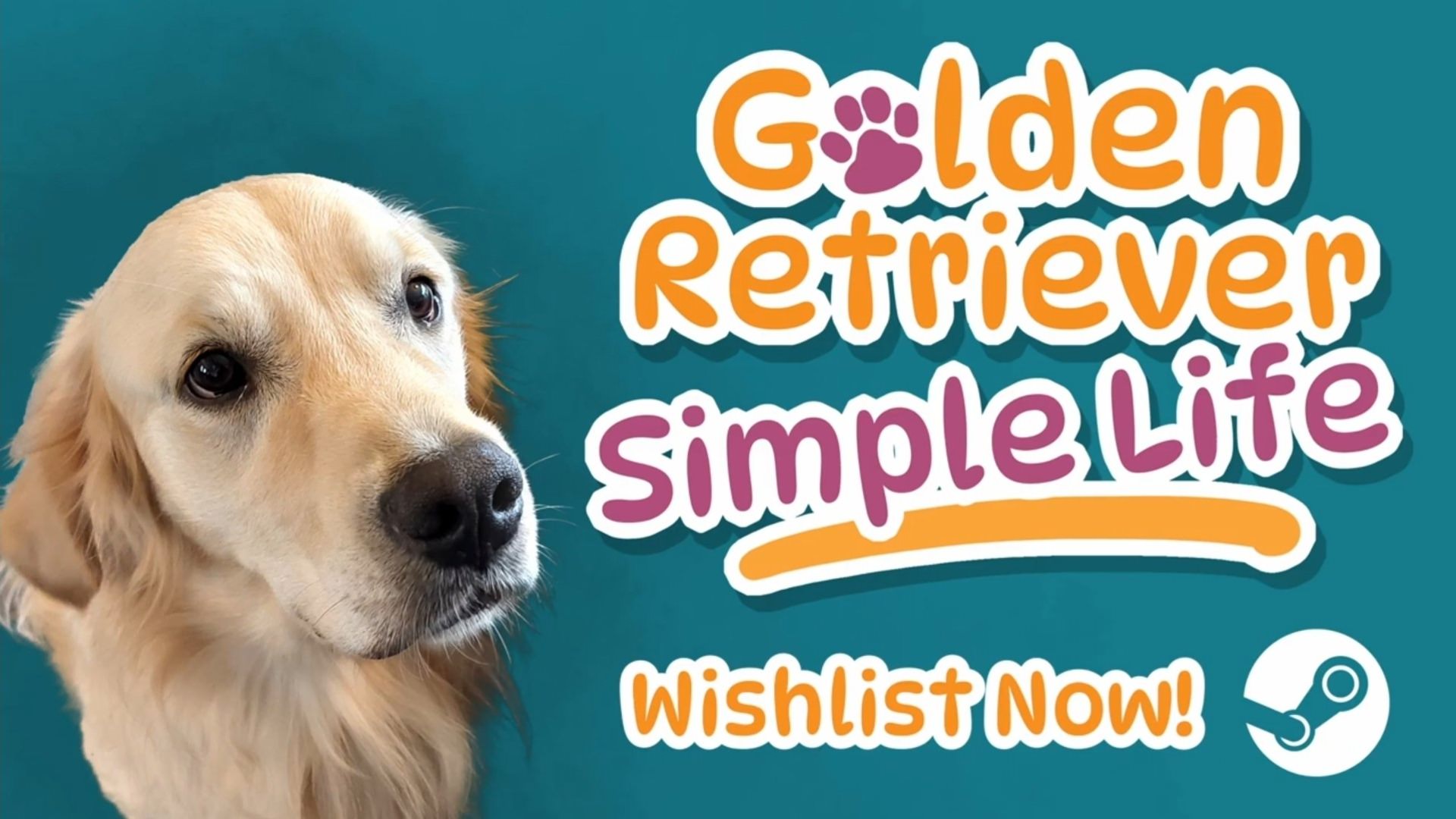 بازی Golden Retriever Simple Life با انتشار تریلری معرفی شد؛ دوستی سگ و انسان