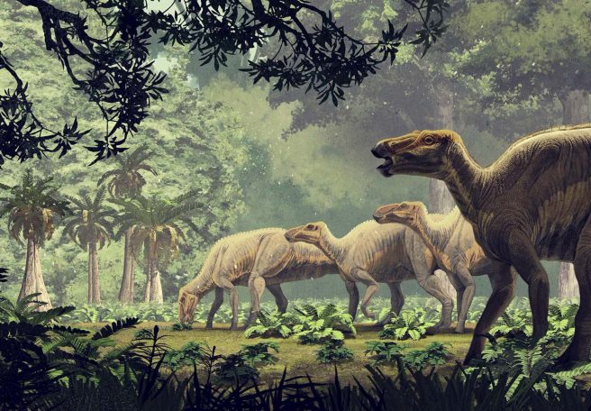 دانشمندان سرانجام روشی برای تشخیص جنسیت دایناسورها پیدا کردند