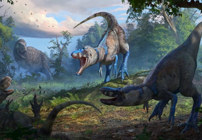 پایان جدال قدیمی دیرینه‌شناسان؛ تی‌رکس نابالغ بالاخره گونه‌ای مستقل شناخته شد