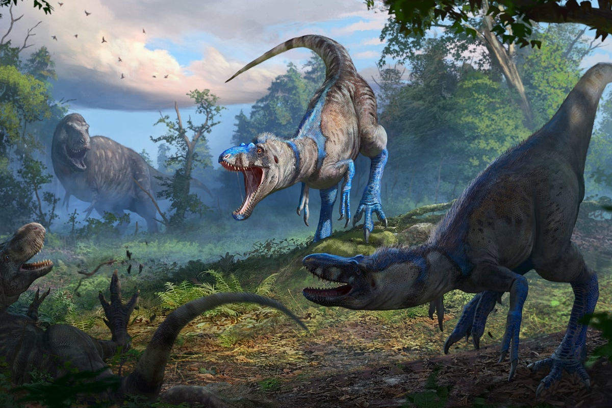 پایان جدال قدیمی دیرینهشناسان؛ تیرکس نابالغ بالاخره گونهای مستقل شناخته شد