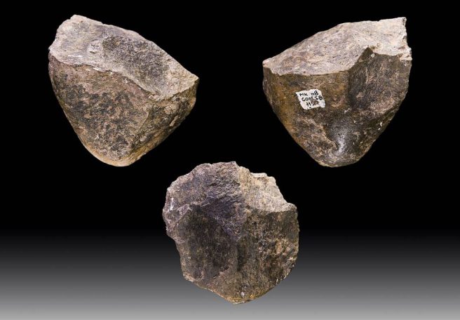 ماندگارترین فناوری جهان؛ اجداد ما میلیون‌ها سال از یک نوع ابزار سنگی استفاده می‌کردند