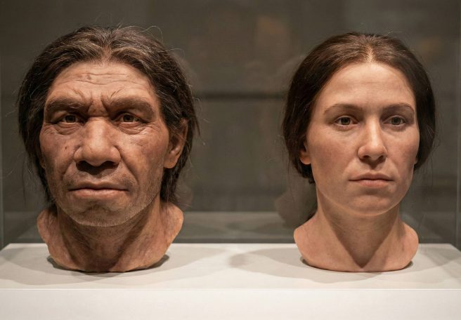 ۱۰ کشف شگفت‌انگیز درباره اجداد انسان در سال ۲۰۲۵