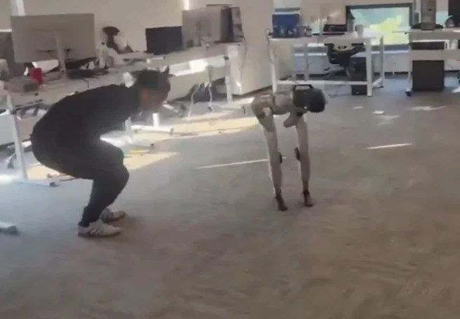 اشتباه خنده‌دار ربات انسان‌نما Unitree G1: ضربه فنی مربی و تقلید درد او! [تماشا کنید]
