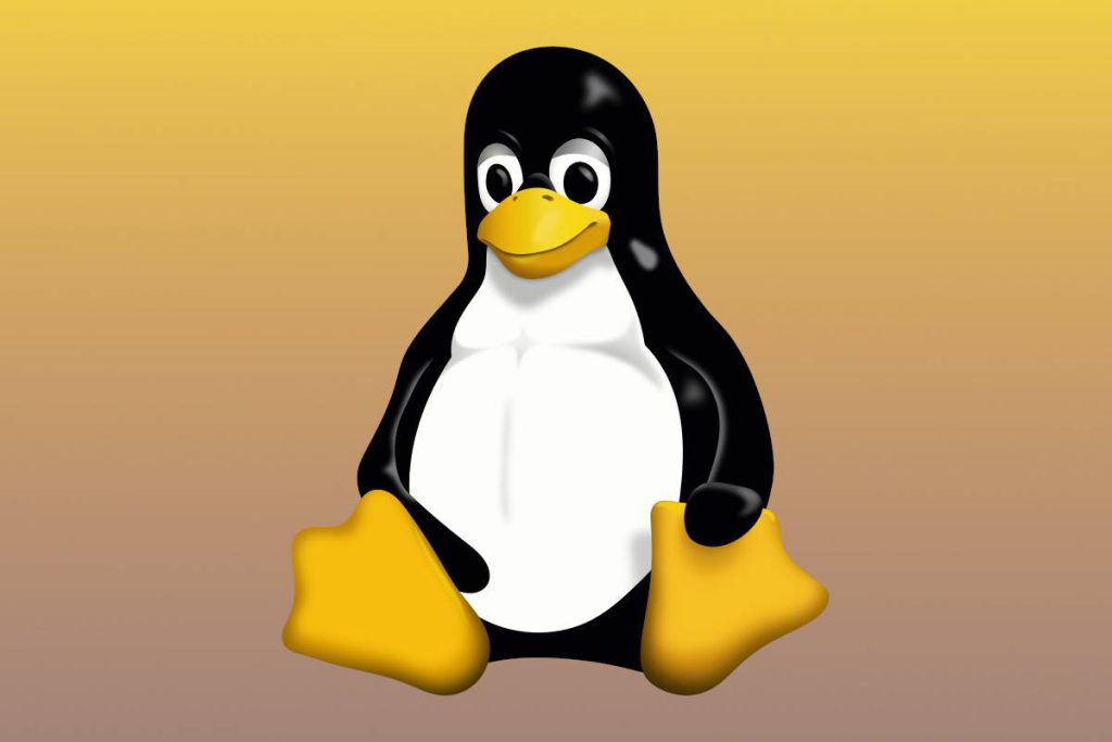 لینوکس ۶٫۱۹ در دسترس قرار گرفت؛ بهبود ۳۰ درصدی عملکرد گرافیک‌های قدیمی ای‌ام‌دی