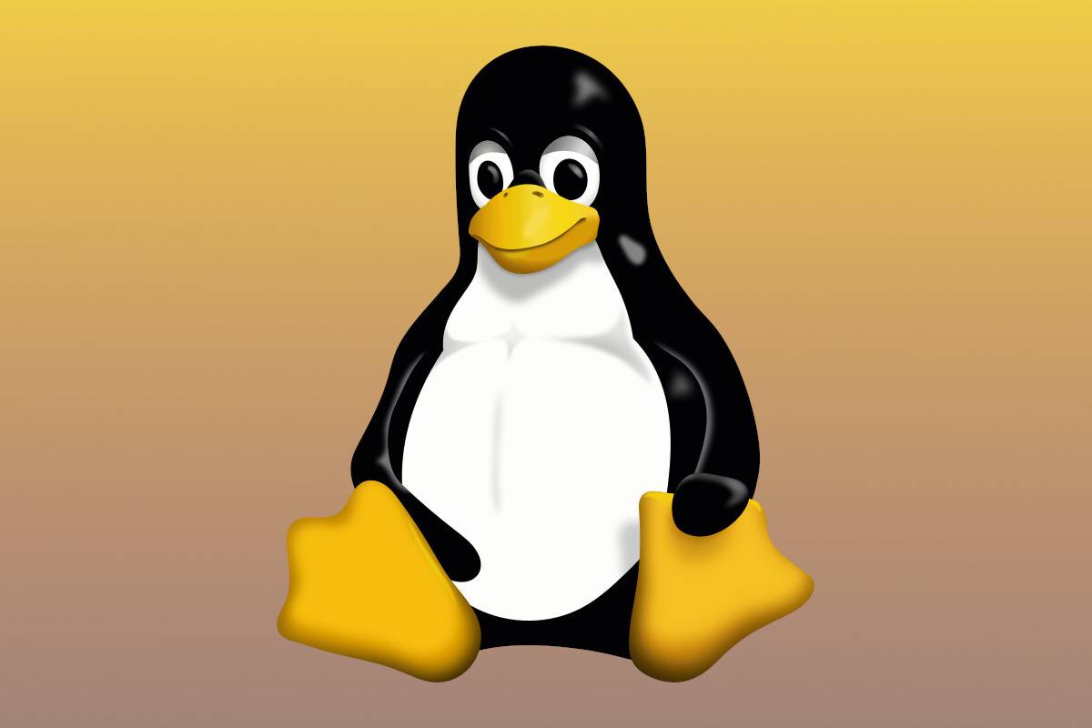 لینوکس ۶٫۱۹ در دسترس قرار گرفت؛ بهبود ۳۰ درصدی عملکرد گرافیک‌های قدیمی ای‌ام‌دی