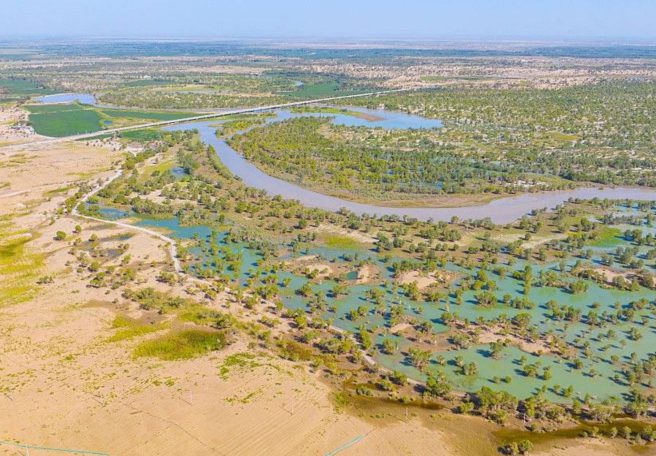 چین آنقدر در بیابان تکلهمکان درخت کاشته که این منطقه به مخزن کربن تبدیل شده است