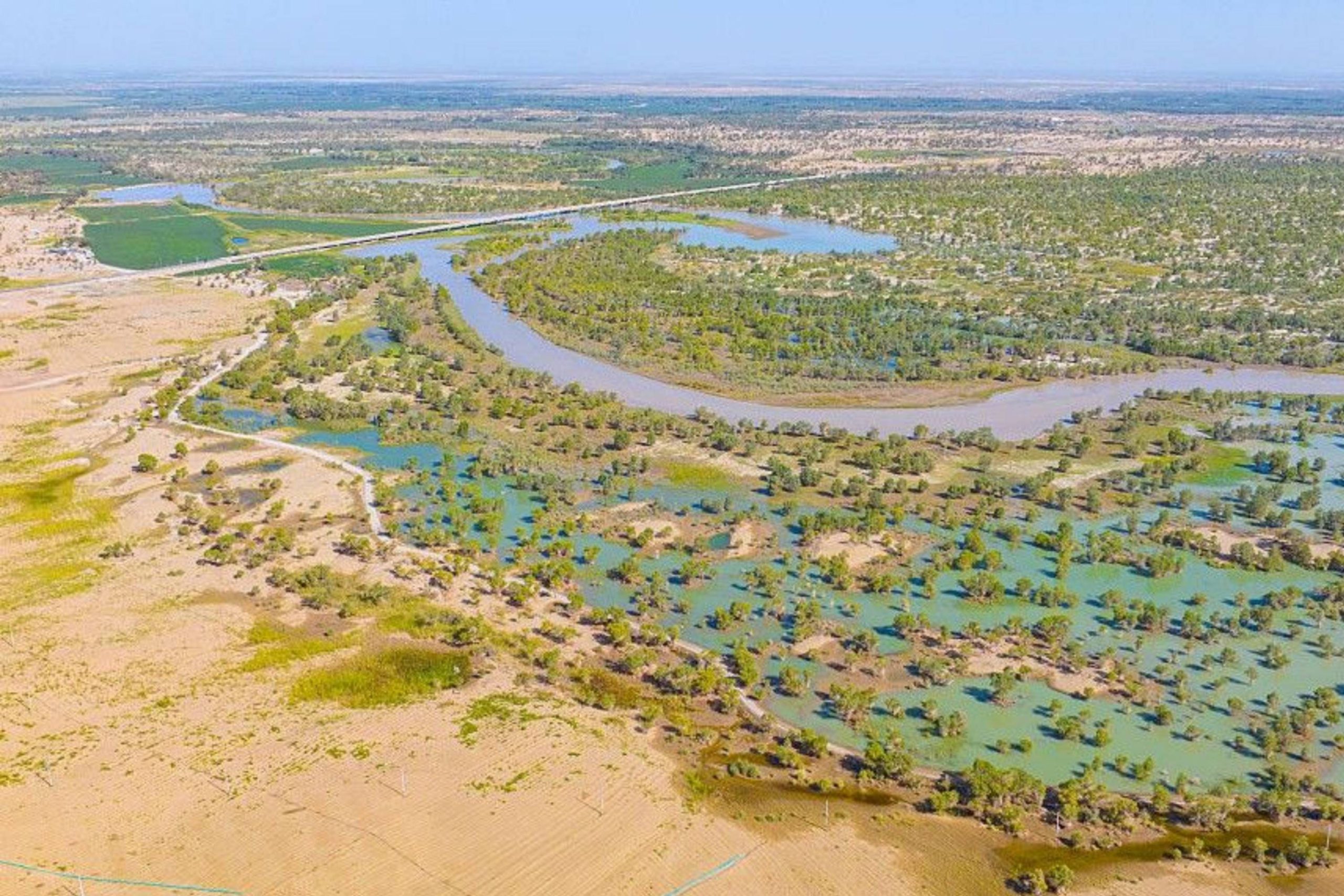 چین آن‌قدر در بیابان تکله‌مکان درخت کاشته که این منطقه به مخزن کربن تبدیل شده است