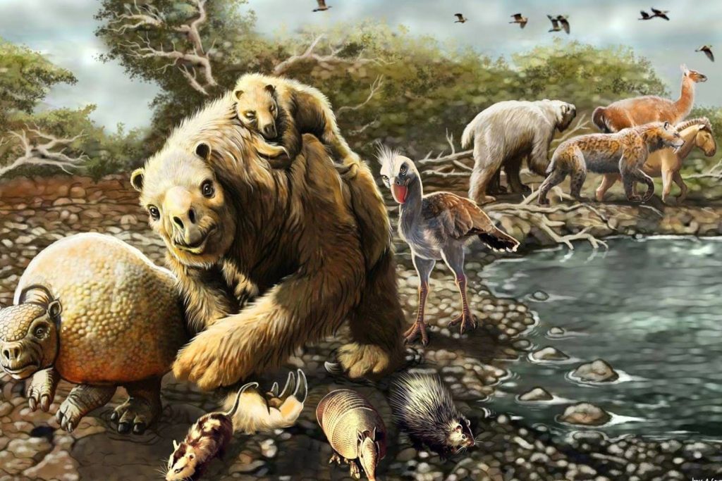 پستانداران آمریکای شمالی چگونه ۲٫۸ میلیون سال پیش آمریکای جنوبی را فتح کردند؟