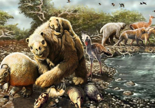 پستانداران آمریکای شمالی چگونه ۲٫۸ میلیون سال پیش آمریکای جنوبی را فتح کردند؟